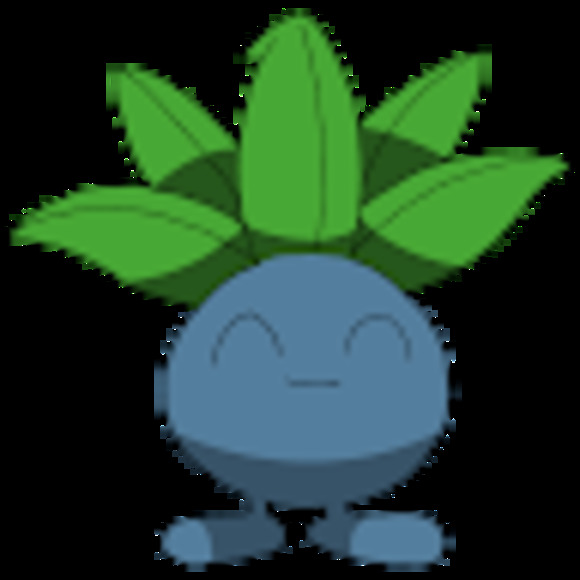 Meet your Posher, Rachel - Picture 1 of 1